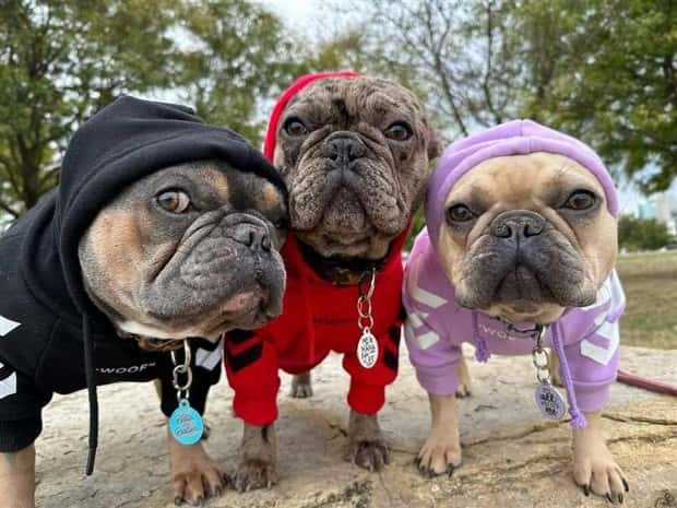 Klyker Picdump #1475 (45 photos)