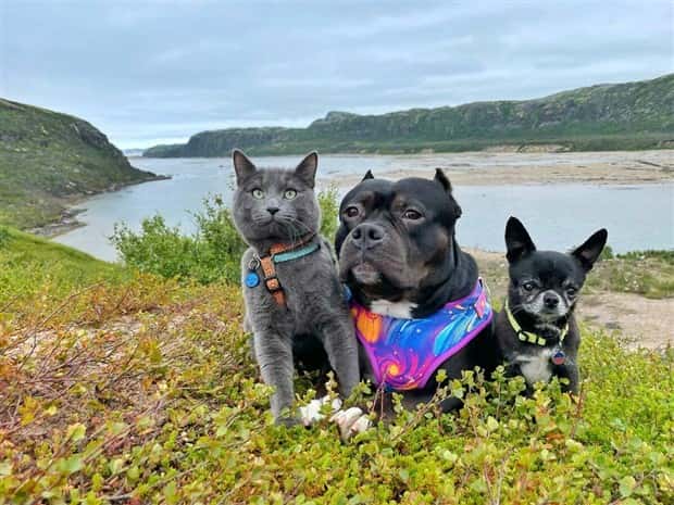 Klyker Picdump #1475 (45 photos)