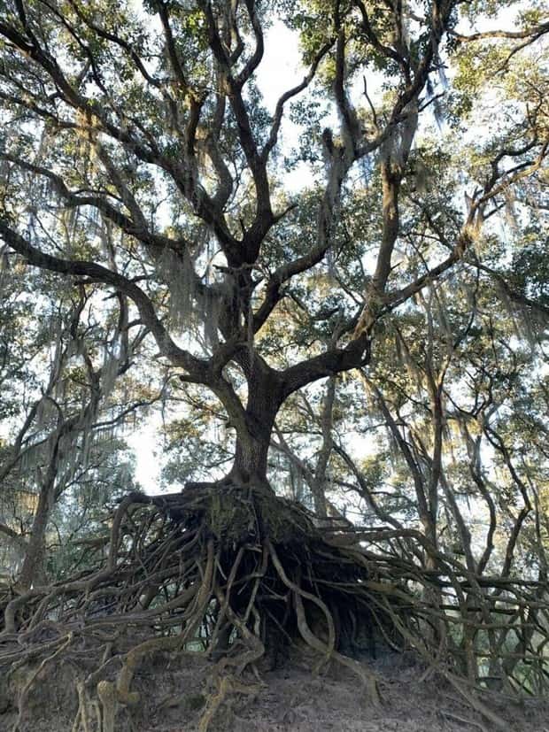 Klyker Picdump #1475 (45 photos)