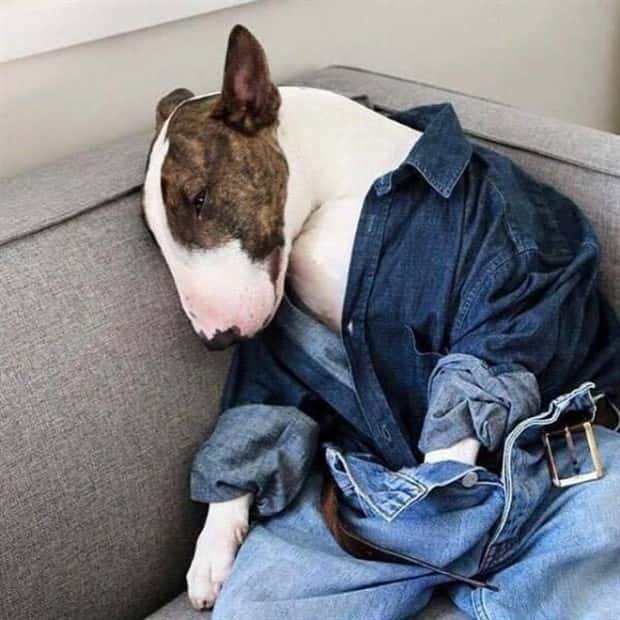 Klyker Picdump #1475 (45 photos)