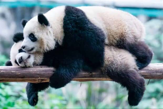 klyker picdump 5 6 2024 12 Klyker Picdump #1456 (51 photos)