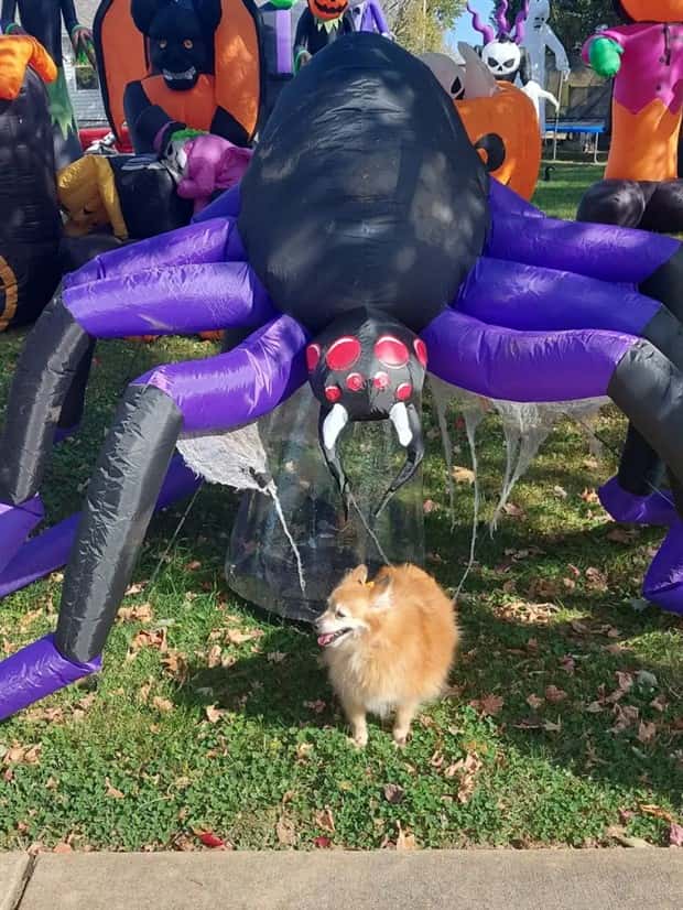 Klyker Picdump #1457 (52 photos)