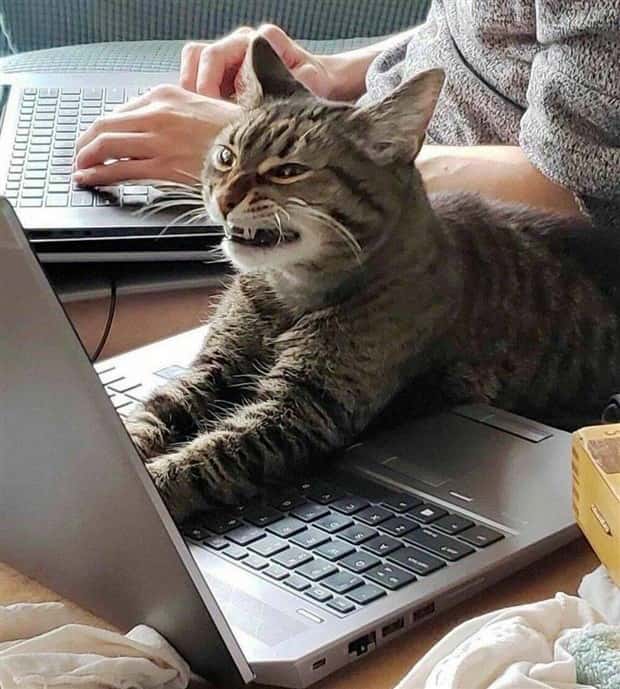 Klyker Picdump #1457 (52 photos)