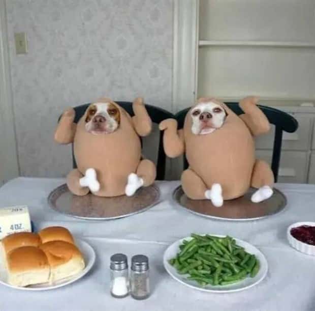 Klyker Picdump #1457 (52 photos)