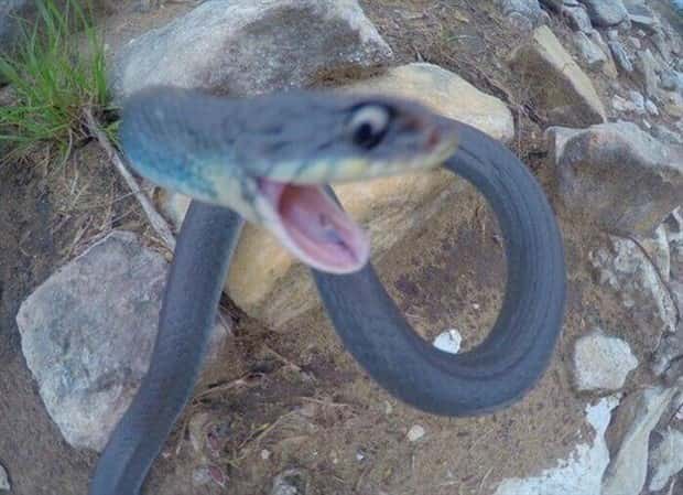 Klyker Picdump #1457 (52 photos)