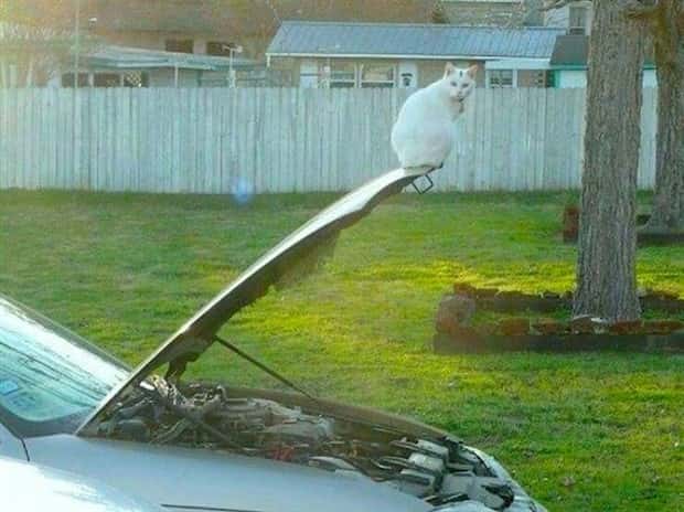 Klyker Picdump #1457 (52 photos)