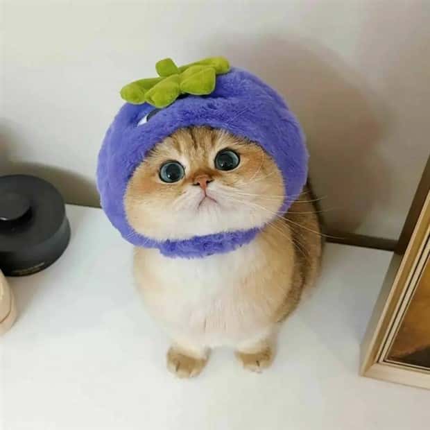 Klyker Picdump #1457 (52 photos)