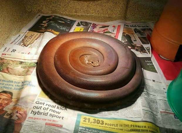 Klyker Picdump #1457 (52 photos)