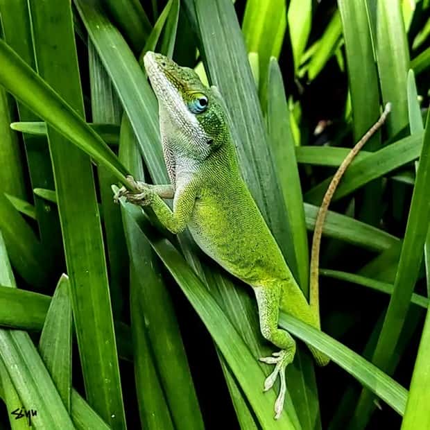 Klyker Picdump #1457 (52 photos)