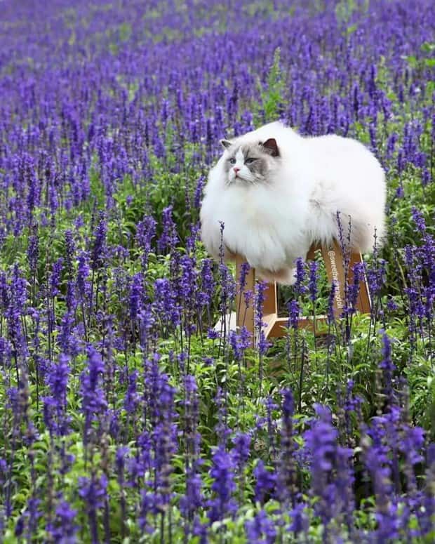 Klyker Picdump #1457 (52 photos)