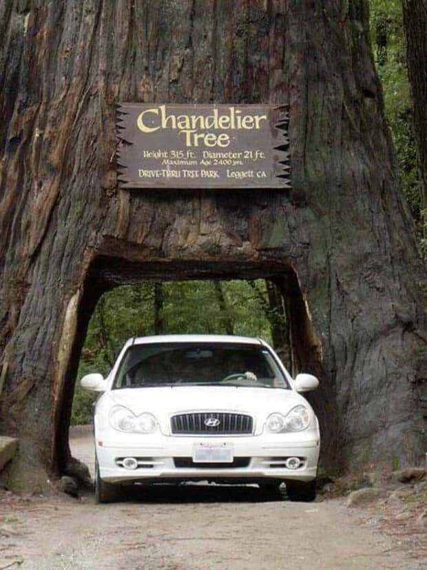 Klyker Picdump #1458 (53 photos)