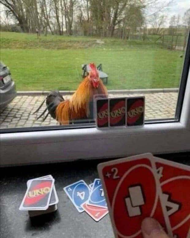 Klyker Picdump #1458 (53 photos)