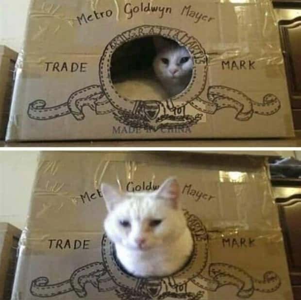 Klyker Picdump #1458 (53 photos)