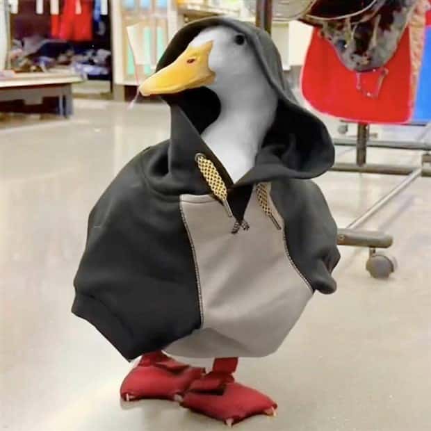 Klyker Picdump #1459 (54 photos)