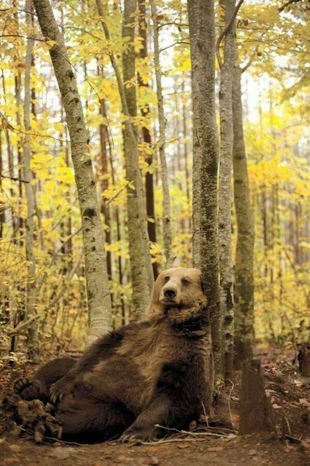 Klyker Picdump #1459 (54 photos)