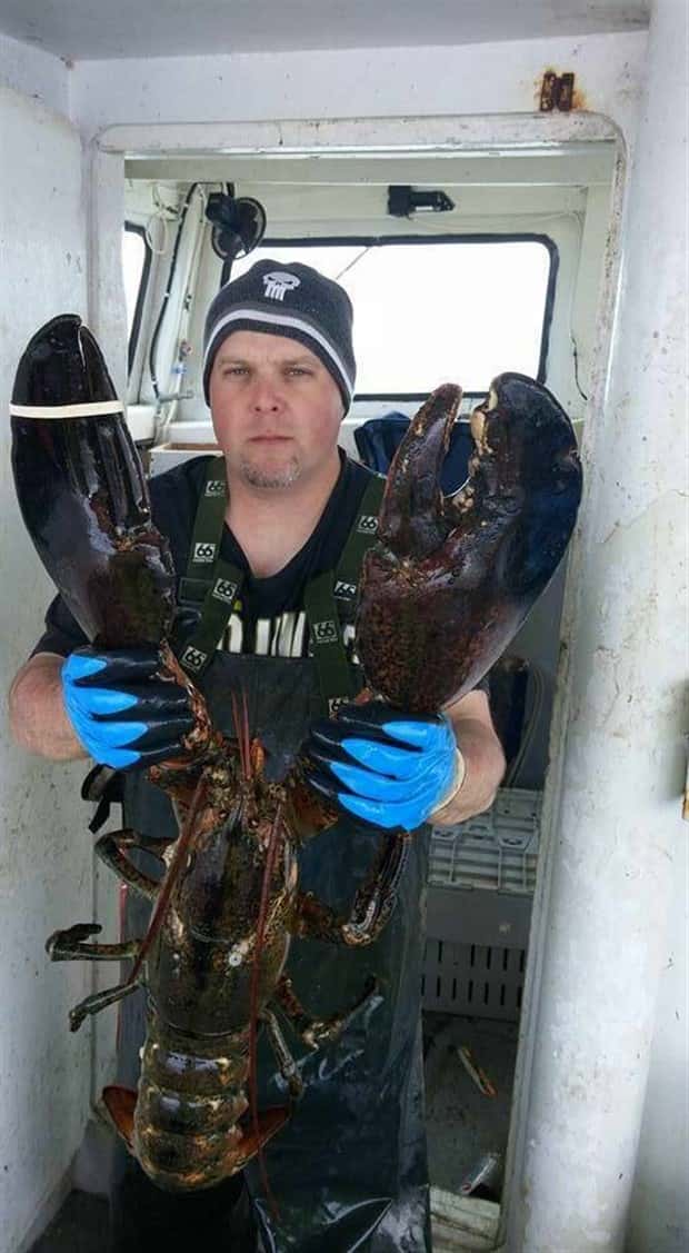 Klyker Picdump #1459 (54 photos)