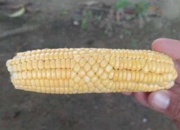 Klyker Picdump #1459 (54 photos)