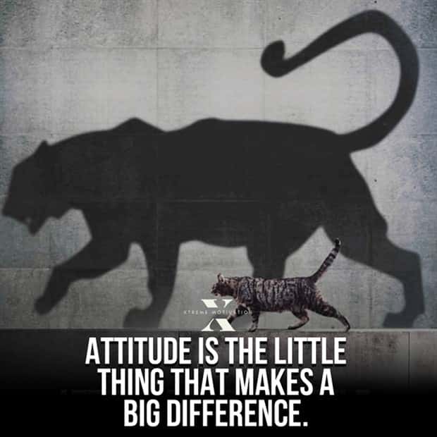 Motivational Quotes, Because It’s Monday #101 (23 photos)