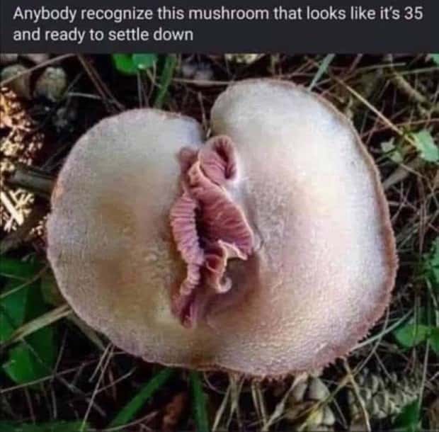 Naughty Memes that Will Make You Giggle #1 (28 photos)