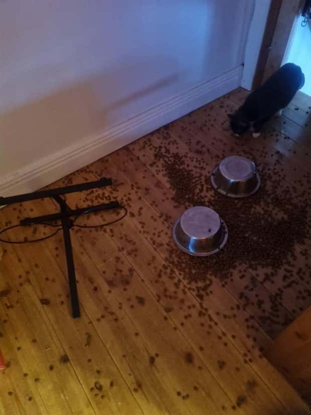 oh shit dude 16 Shit Happens Regularly, Get Used To It #276 (24 photos)