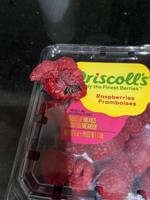 oh shit dude 17 Shit Happens Regularly, Get Used To It #276 (24 photos)