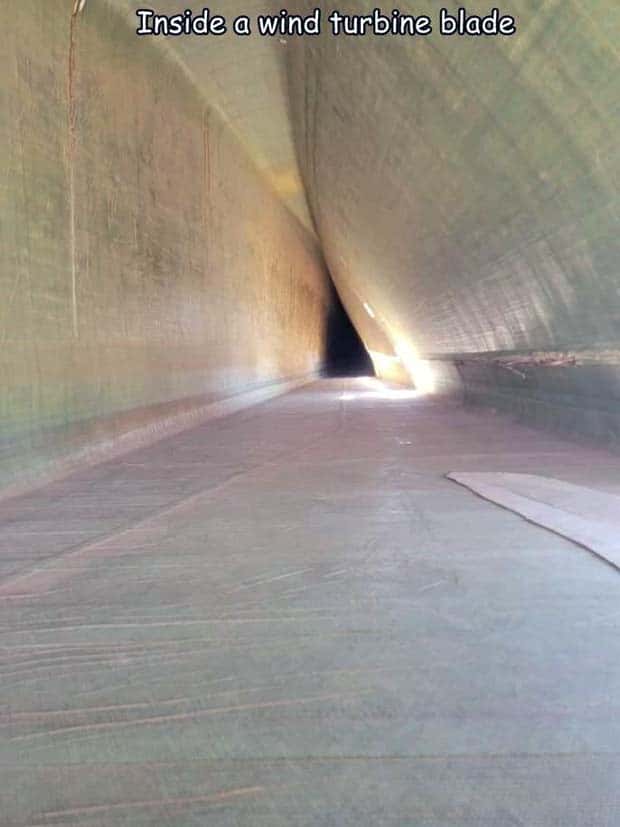 pictures with captions 15 2 Interesting Pictures with Captions #105 (24 photos)