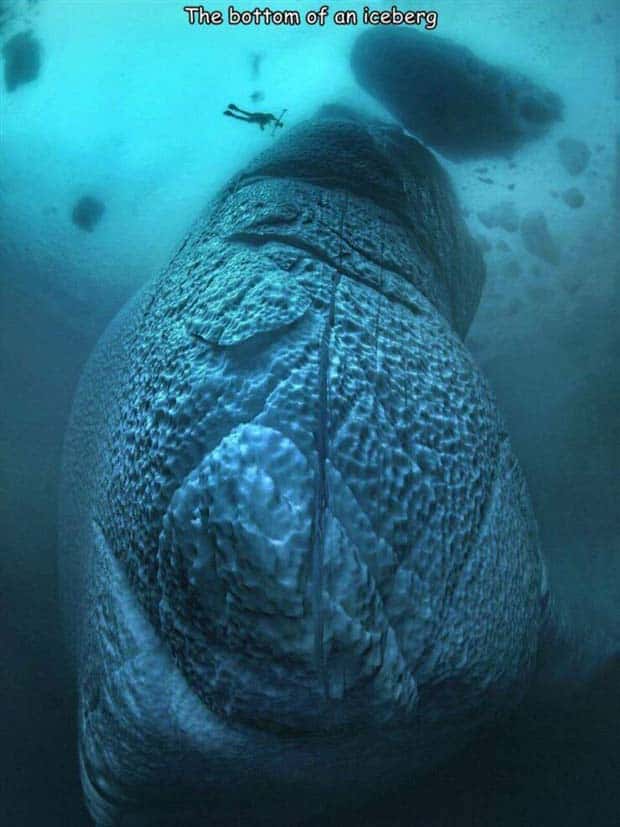 pictures with captions 26 1 Interesting Pictures with Captions #104 (27 photos)