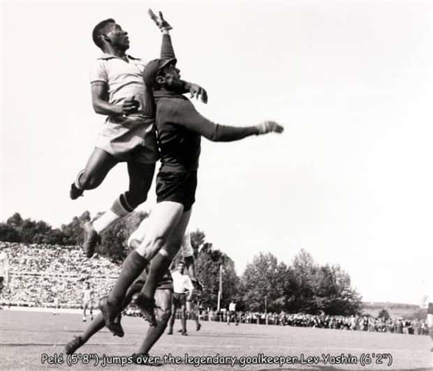 pictures with captions 3 2 Interesting Pictures with Captions #105 (24 photos)