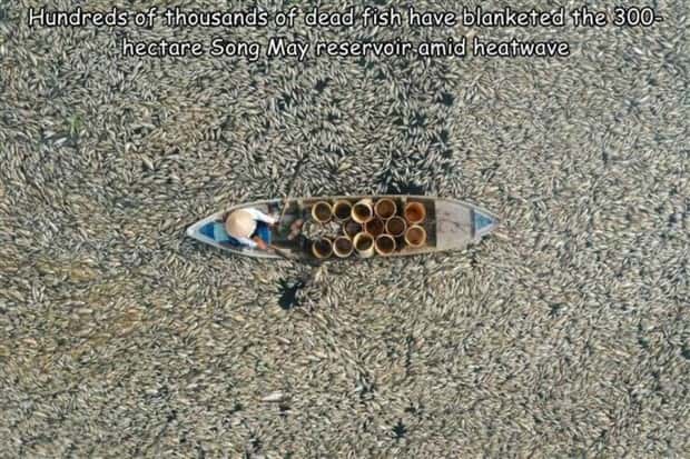 pictures with captions 7 Interesting Pictures with Captions #103 (31 photos)