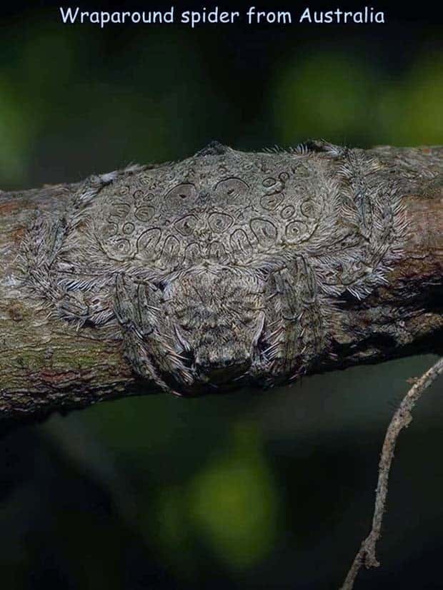 pictures with interesting captions 18 1 Interesting Pictures with Captions #102 (28 photos)