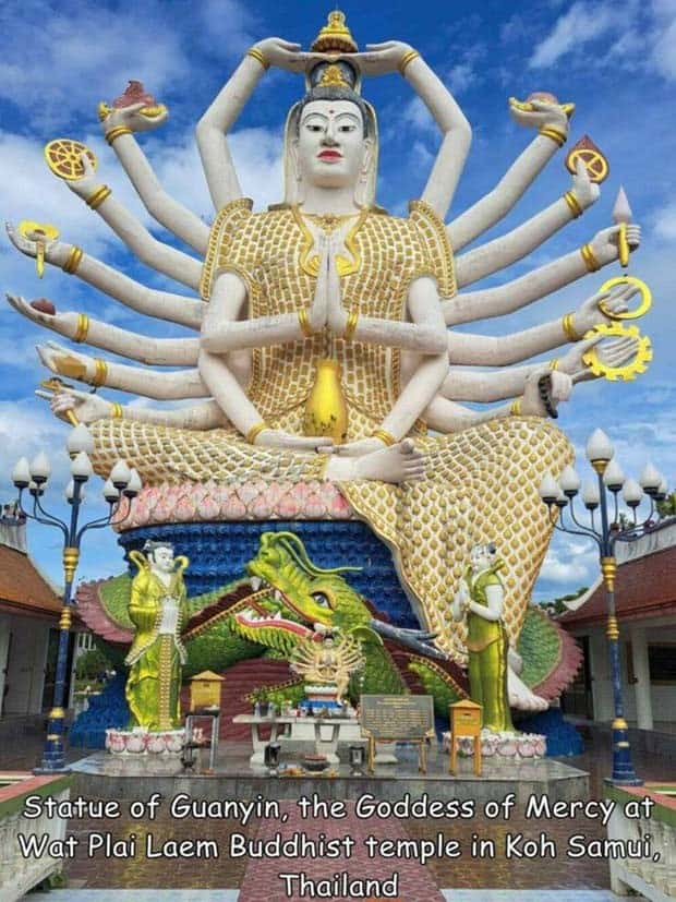 Interesting Pictures with Captions #101 (25 photos)