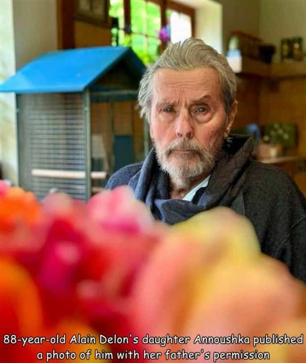 Interesting Pictures with Captions #101 (25 photos)