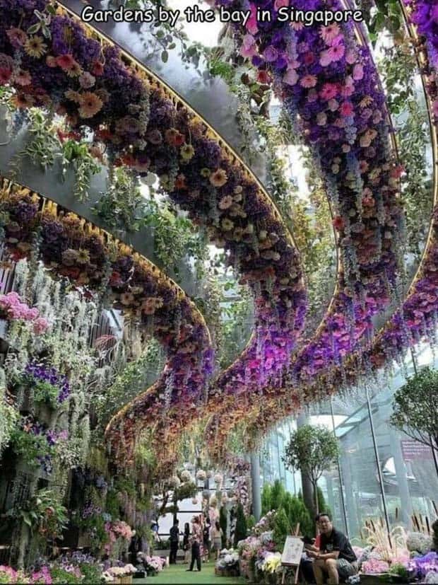 pictures with interesting captions 9 1 Interesting Pictures with Captions #102 (28 photos)