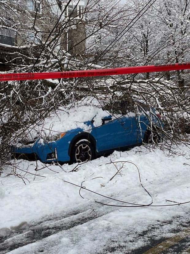 Shit Happens Regularly, Get Used To It #277 (25 photos)