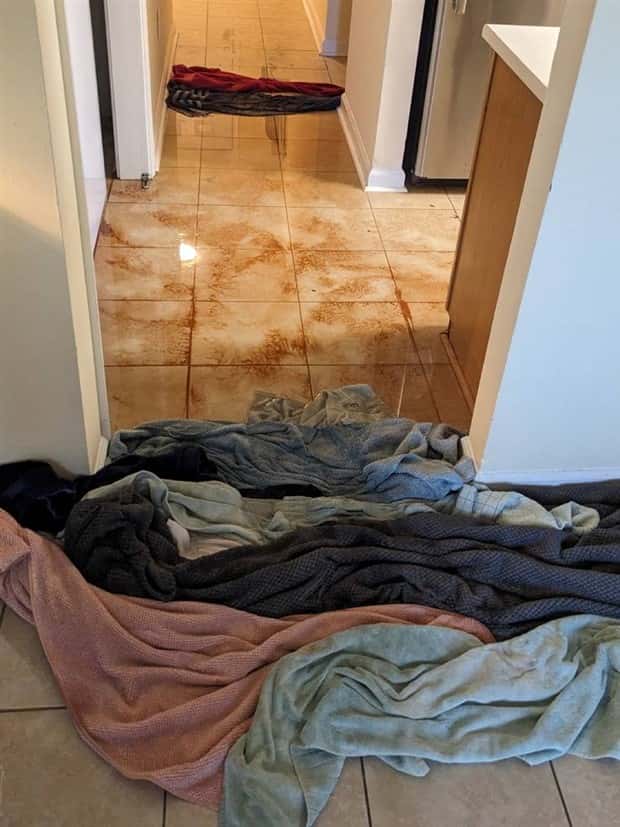 Shit Happens Regularly, Get Used To It #277 (25 photos)