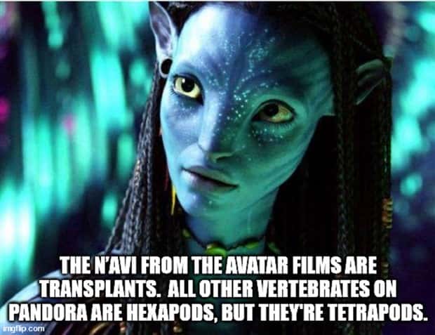 Funny Shower Thoughts #103 (28 photos)