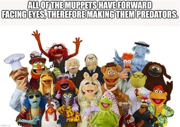 Funny Shower Thoughts #103 (28 photos)