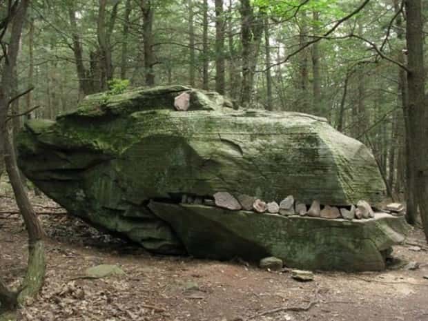 Strange Woods Finds (25 photos)