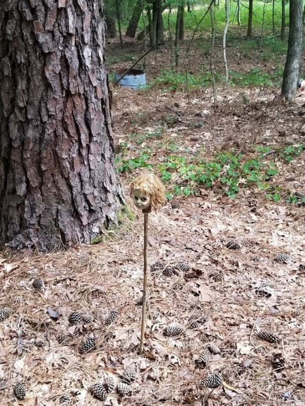 Strange Woods Finds (25 photos)