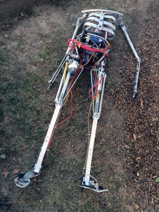 Strange Woods Finds (25 photos)