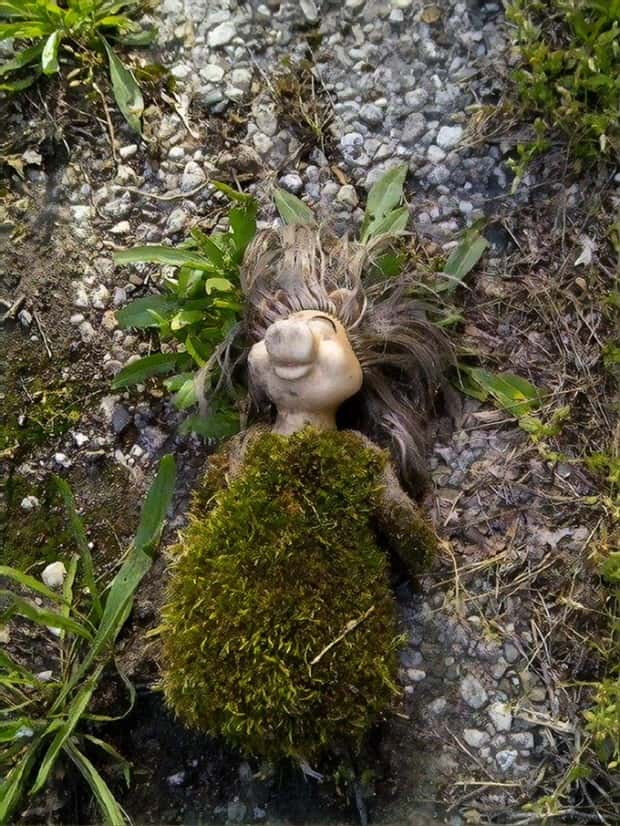 Strange Woods Finds (25 photos)