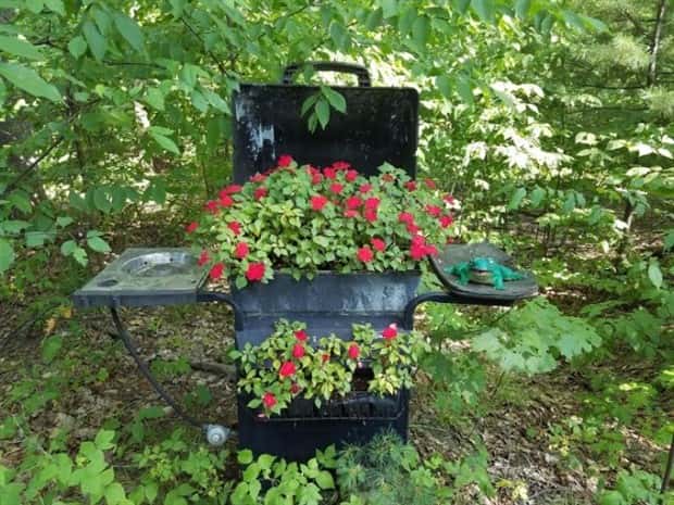 Strange Woods Finds (25 photos)