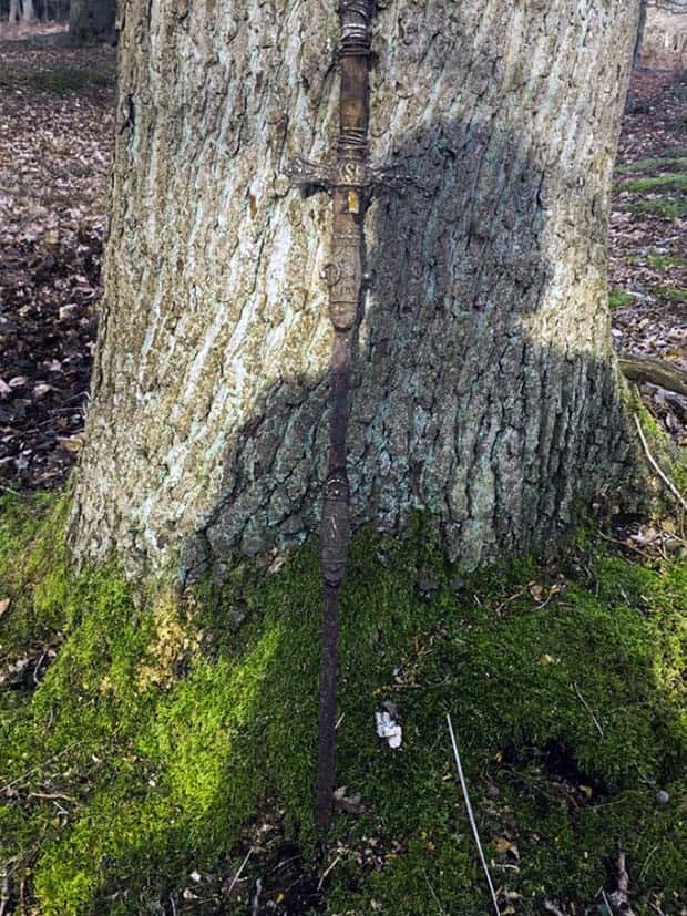 Strange Woods Finds (25 photos)