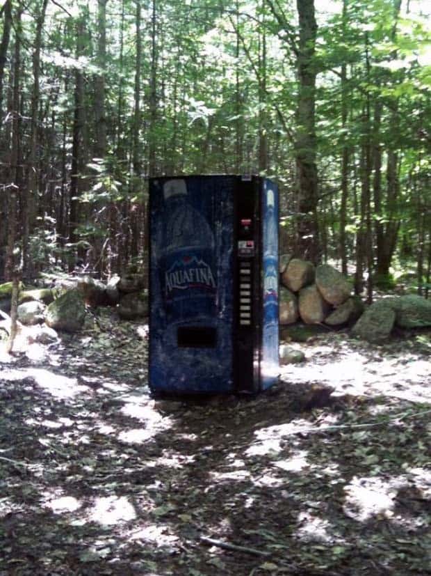 Strange Woods Finds (25 photos)