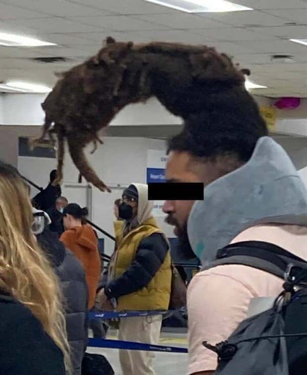 Strange Haircuts that Cannot Go Unnoticed #24 (24 photos)