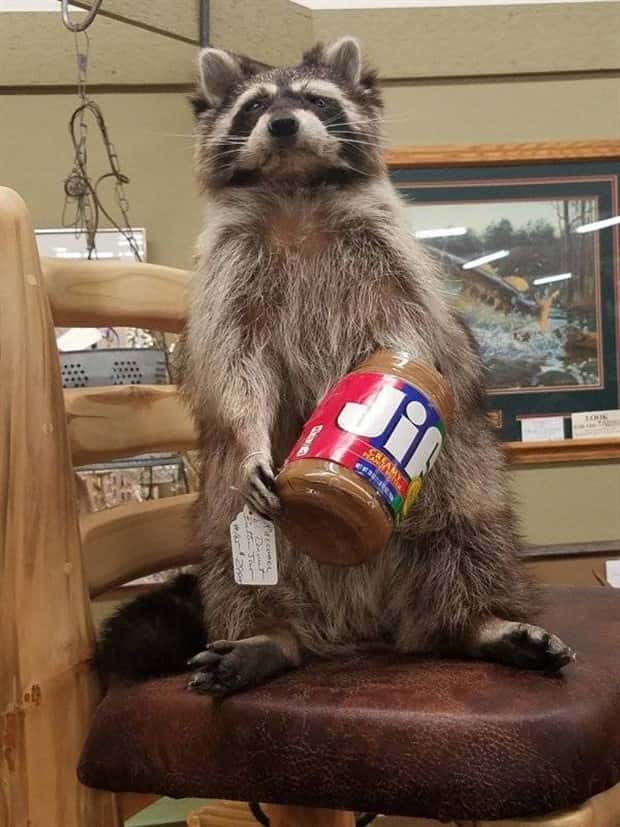 Strange Things Found in Thrift Stores #21 (25 photos)