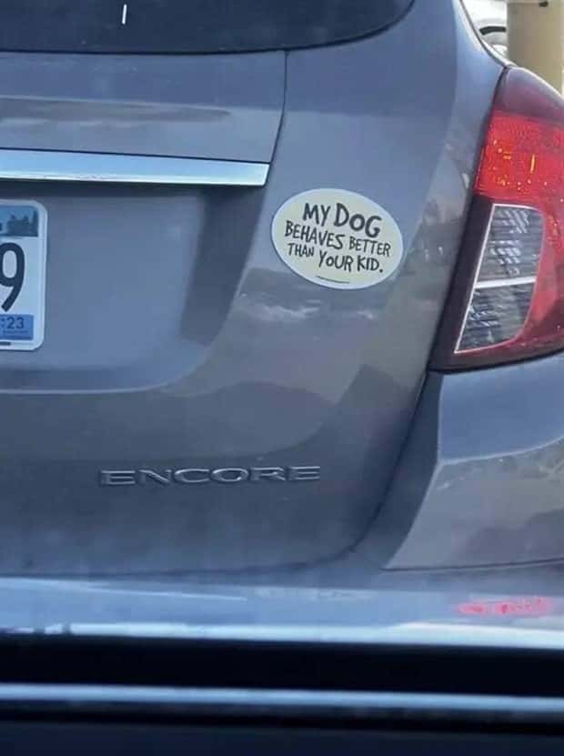amusing bumper stickers 33 Bumper Stickers that Amuse (38 photos)
