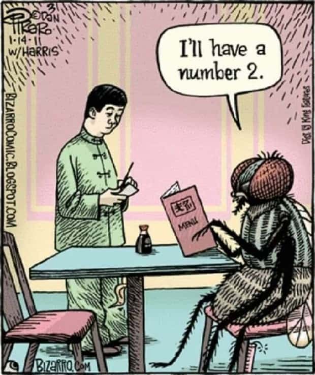 Amusing Puns for Endless Fun and Laughter (35 photos)