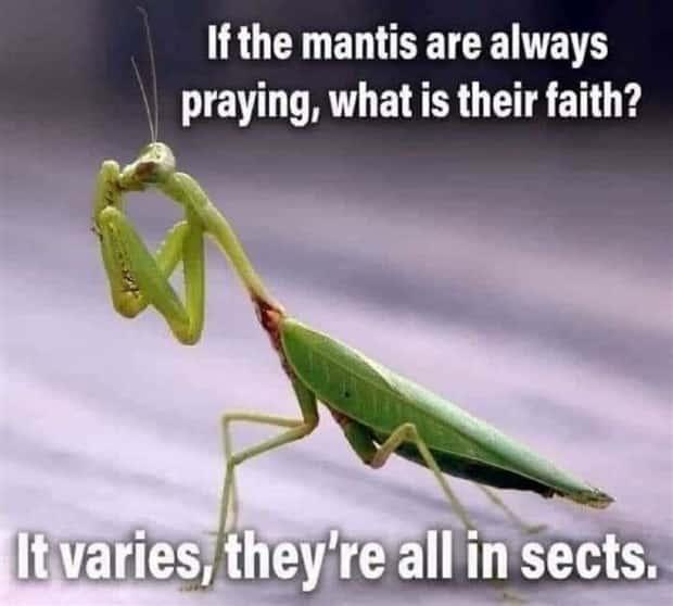 Amusing Puns for Endless Fun and Laughter (35 photos)