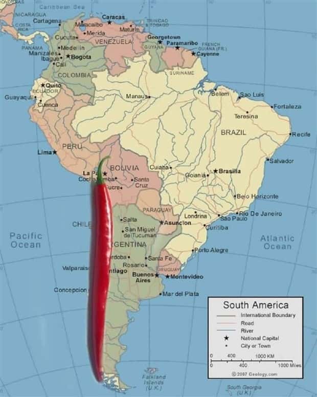 Amusing Puns for Endless Fun and Laughter (35 photos)